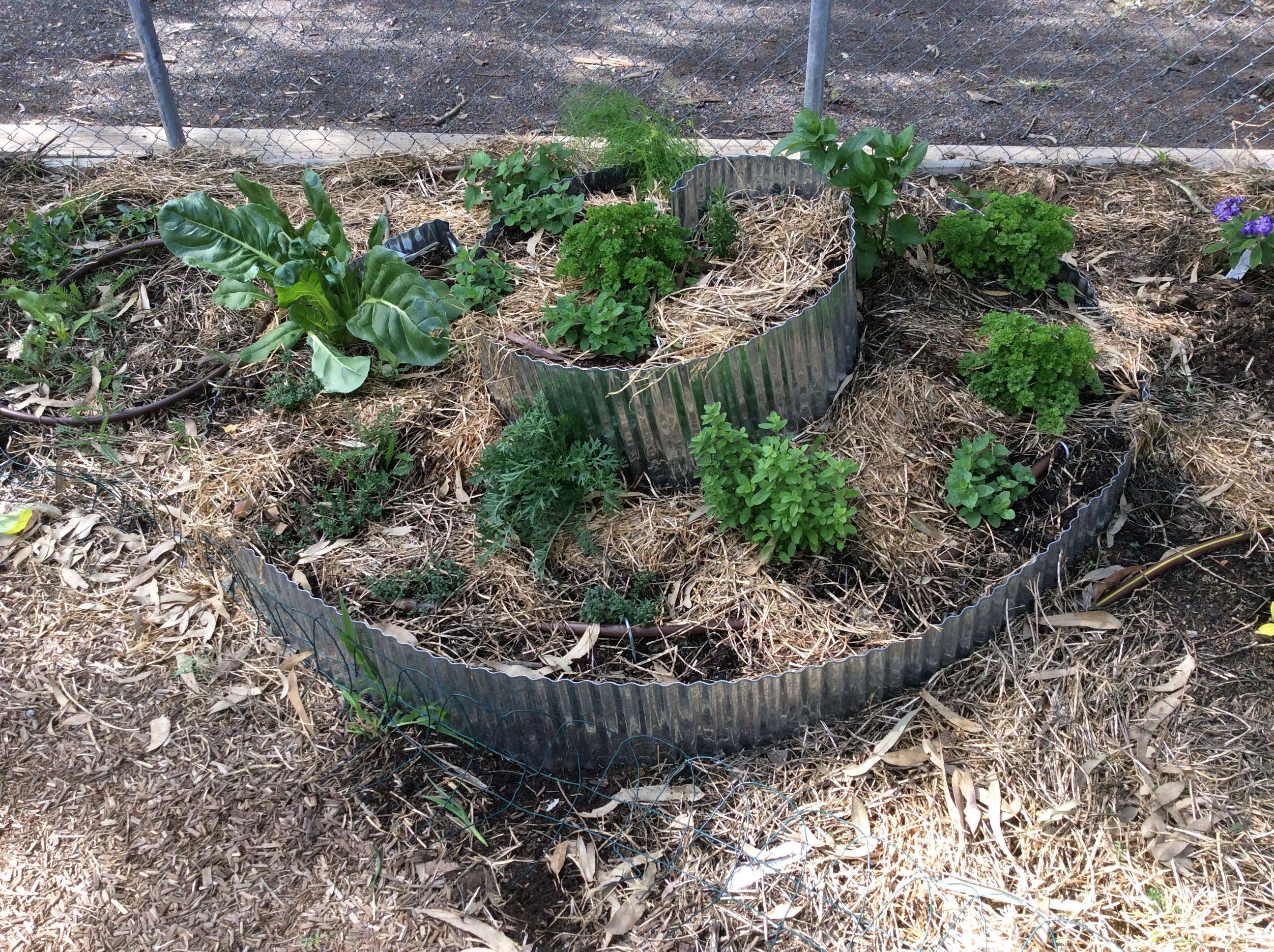 Best Compound Walls Images