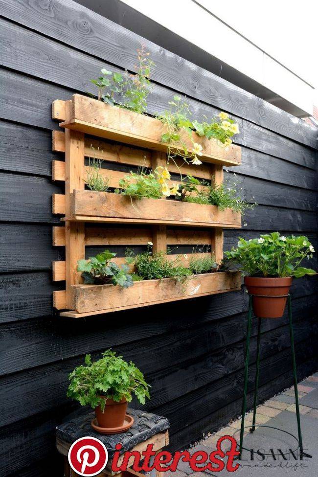 Diy Indoor Herb Garden Ideas And Planters Theyre Easy So Cute