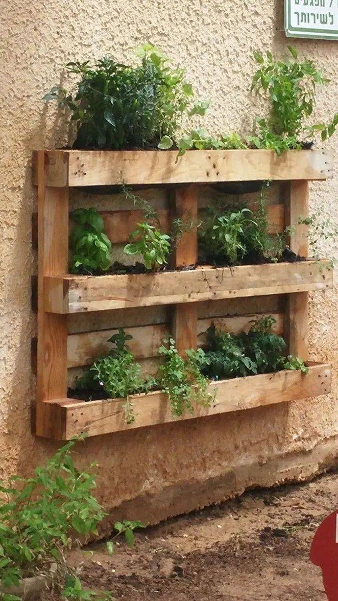 Wood Pallet Vertical Garden