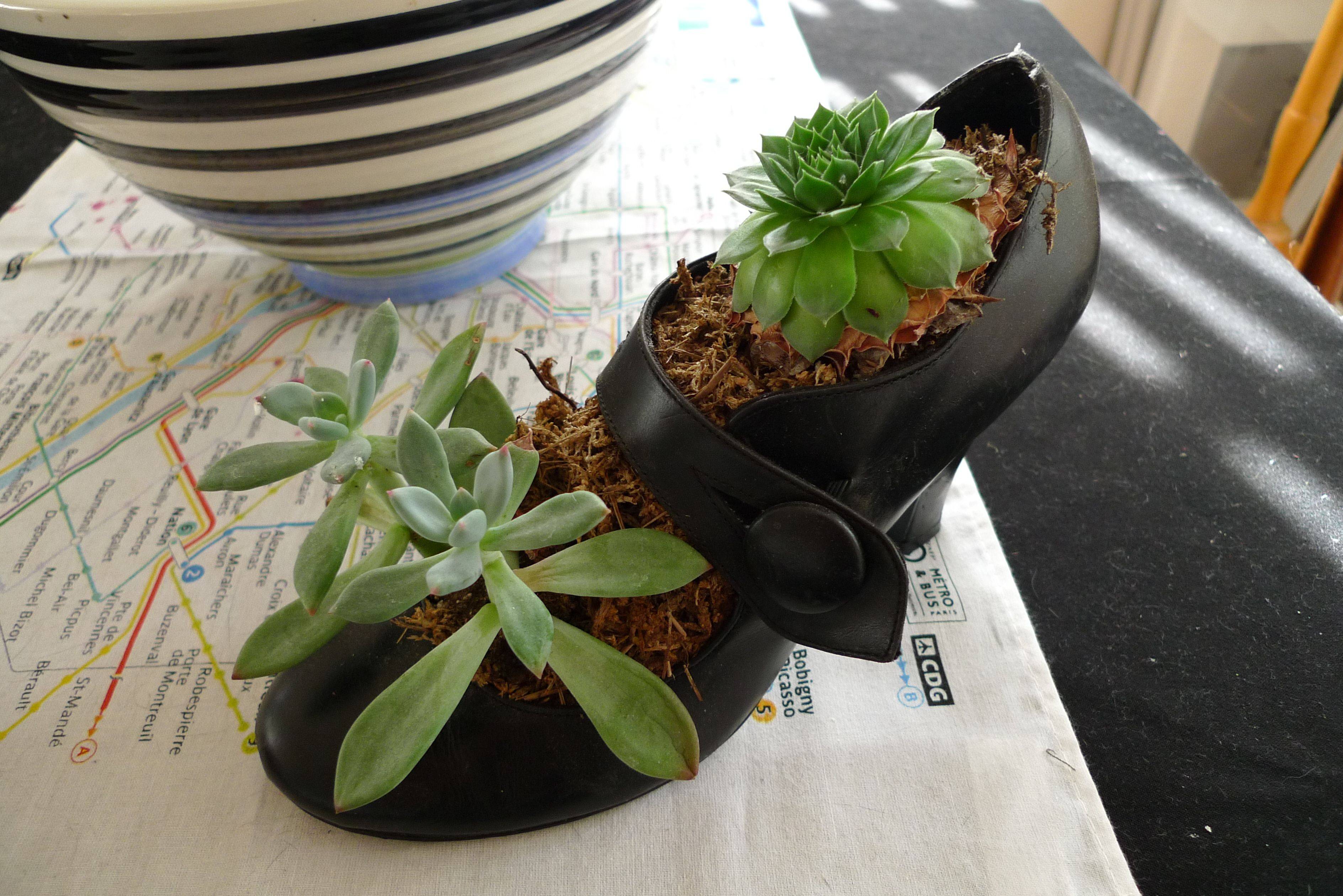Creative Recycled Garden Planters Page