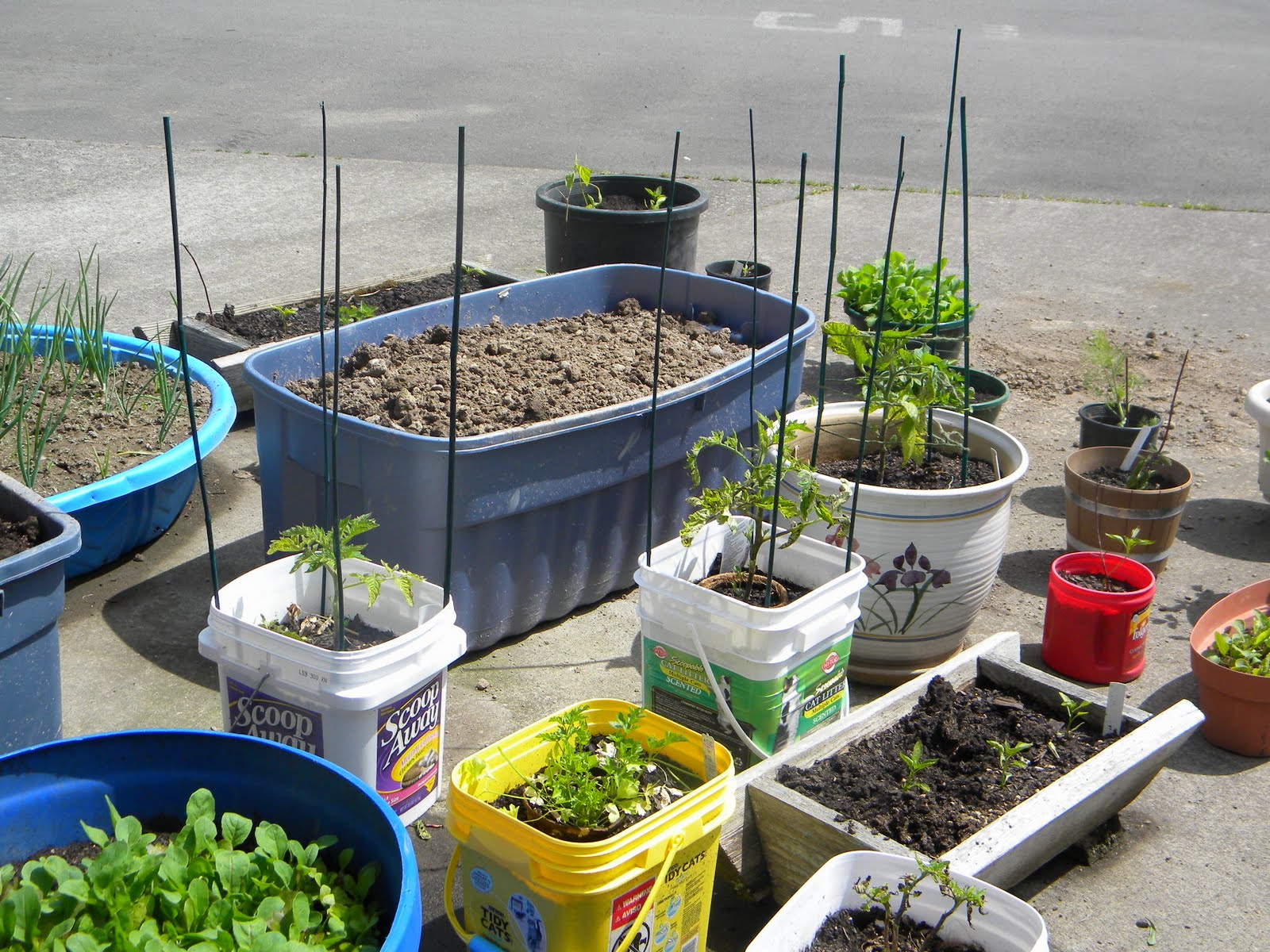 Recycled Container Gardening Ideas Hubpages