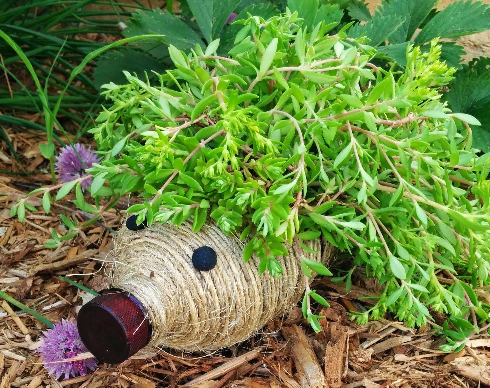 Recycled Container Garden Part Ii