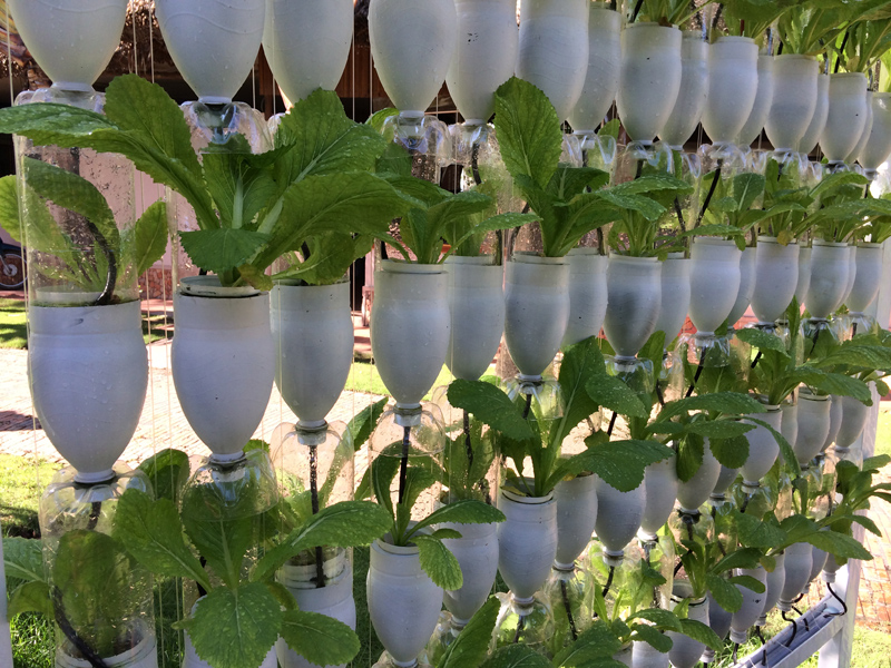 Your Garden Xcitefunnet