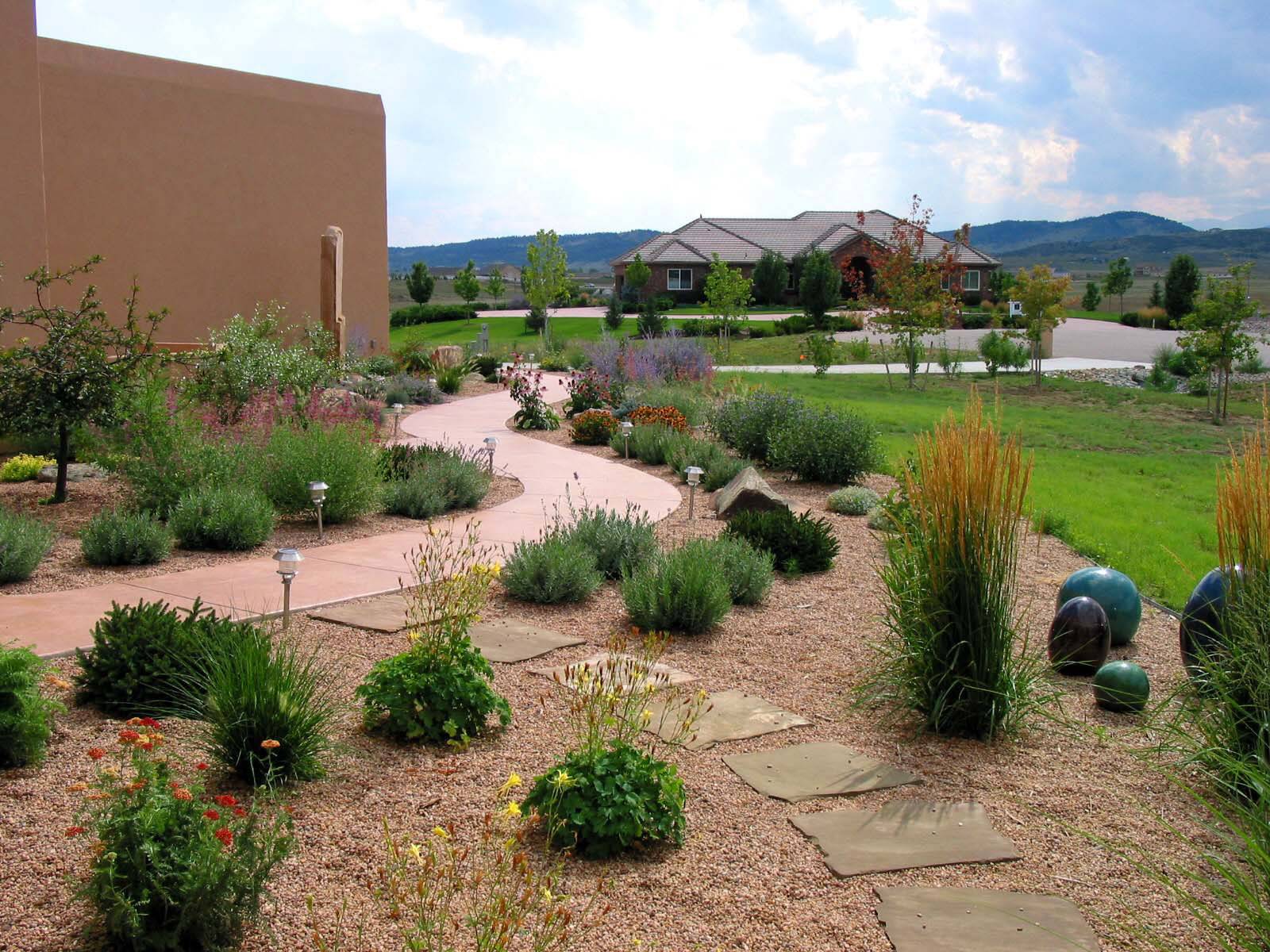 Backyard Xeriscape Ideas