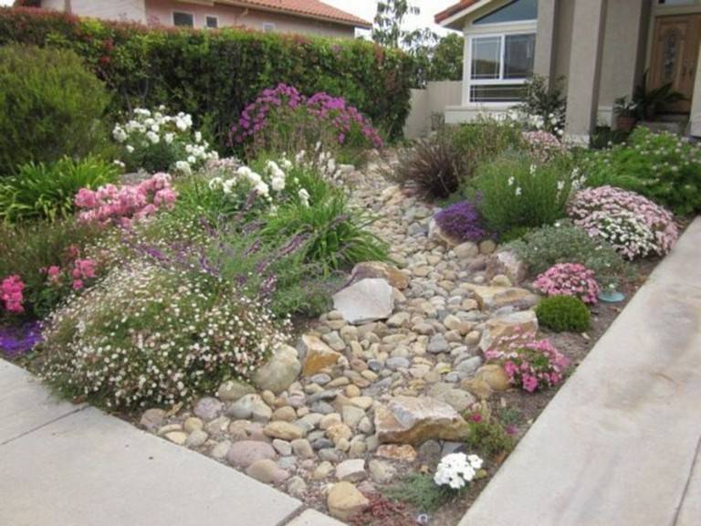 Xeriscape Front Yard