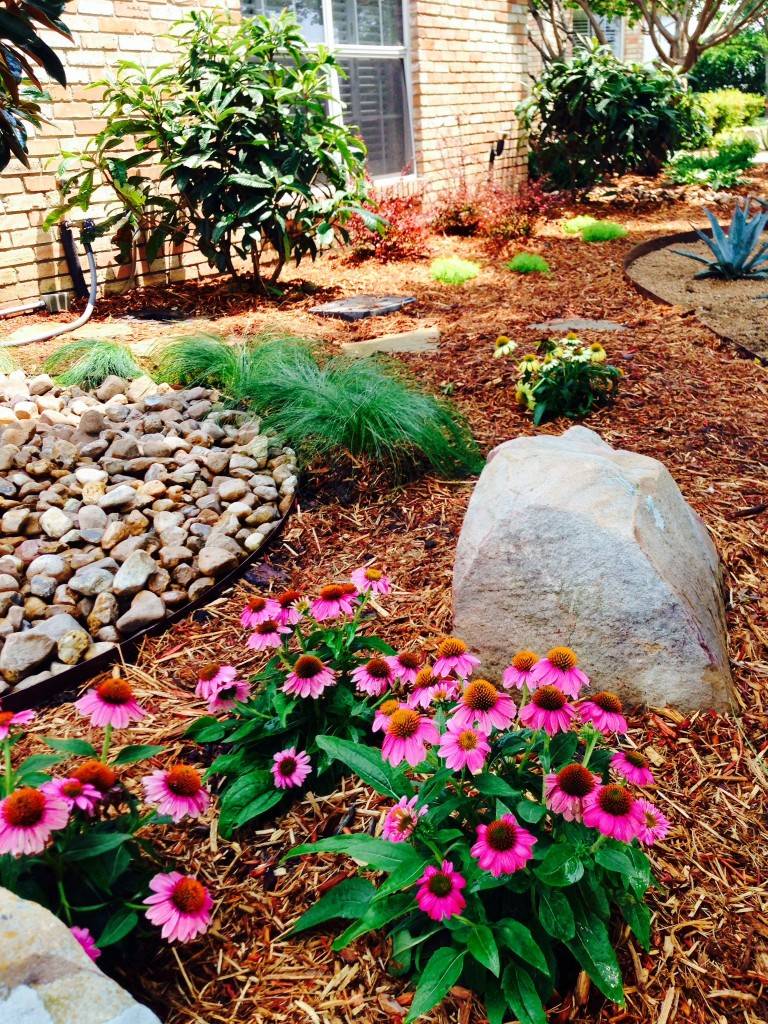 21 Xeriscape Garden Design Ideas To Consider SharonSable