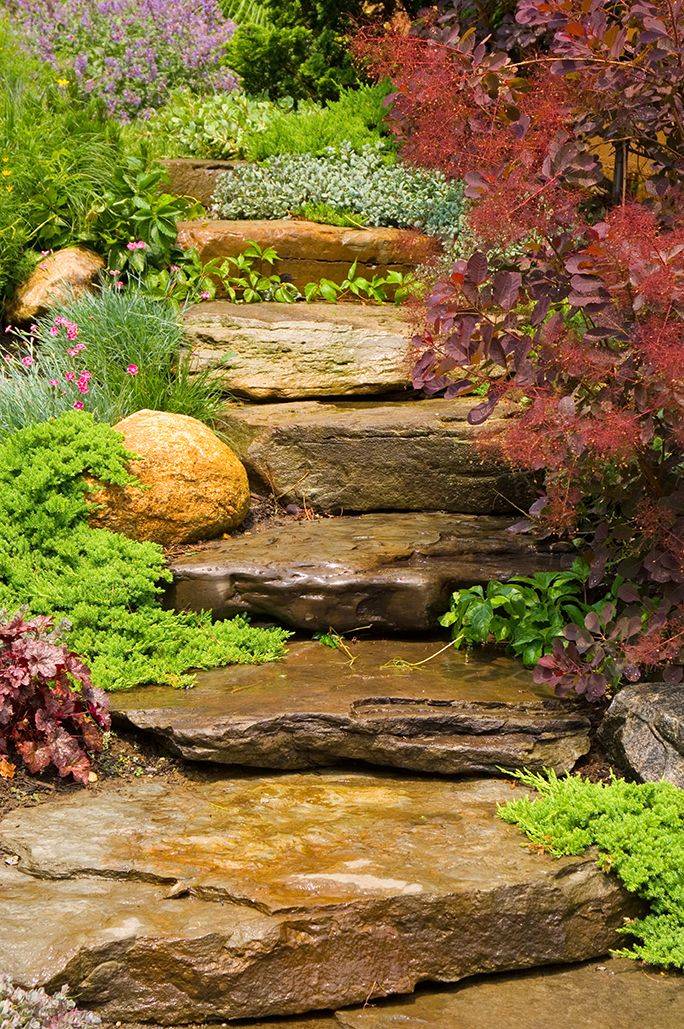 Pin On Steps And Stairs