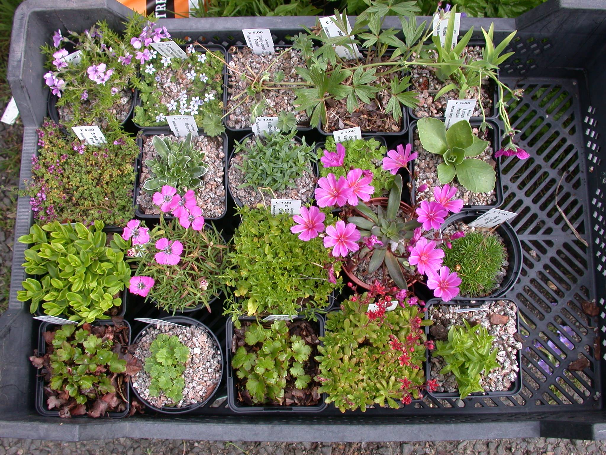 Small Spaces