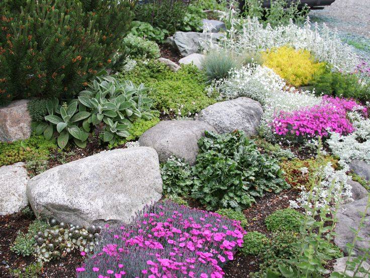 Flower Garden Design Springflowerlandscapeideas Rock Garden Design