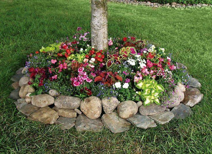 Rock Garden Bed Ideas