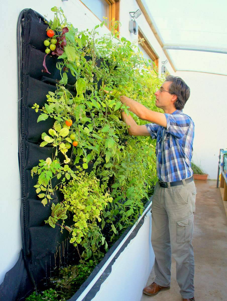 Your Own Diy Vertical Garden Wall