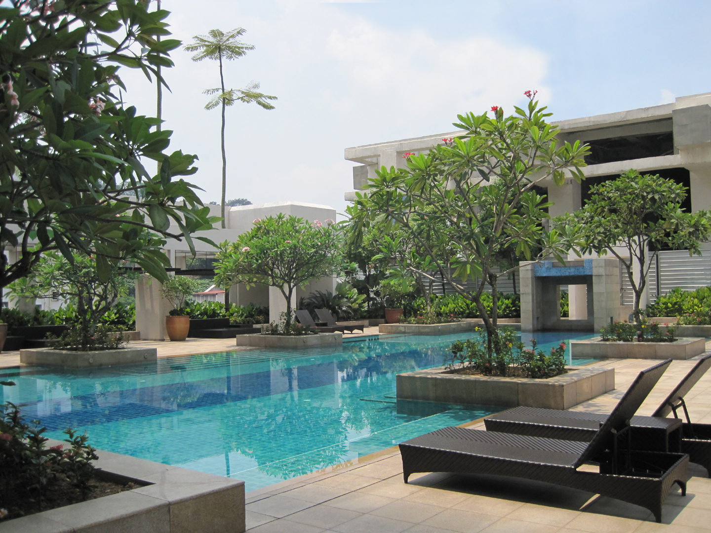 Tropical Landscape Designs