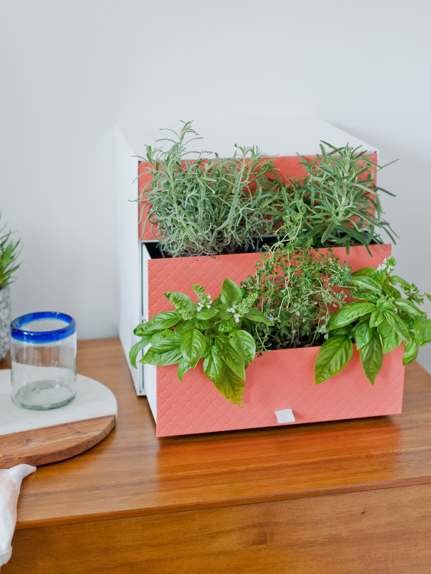 A Colorful Indoor Herb Garden