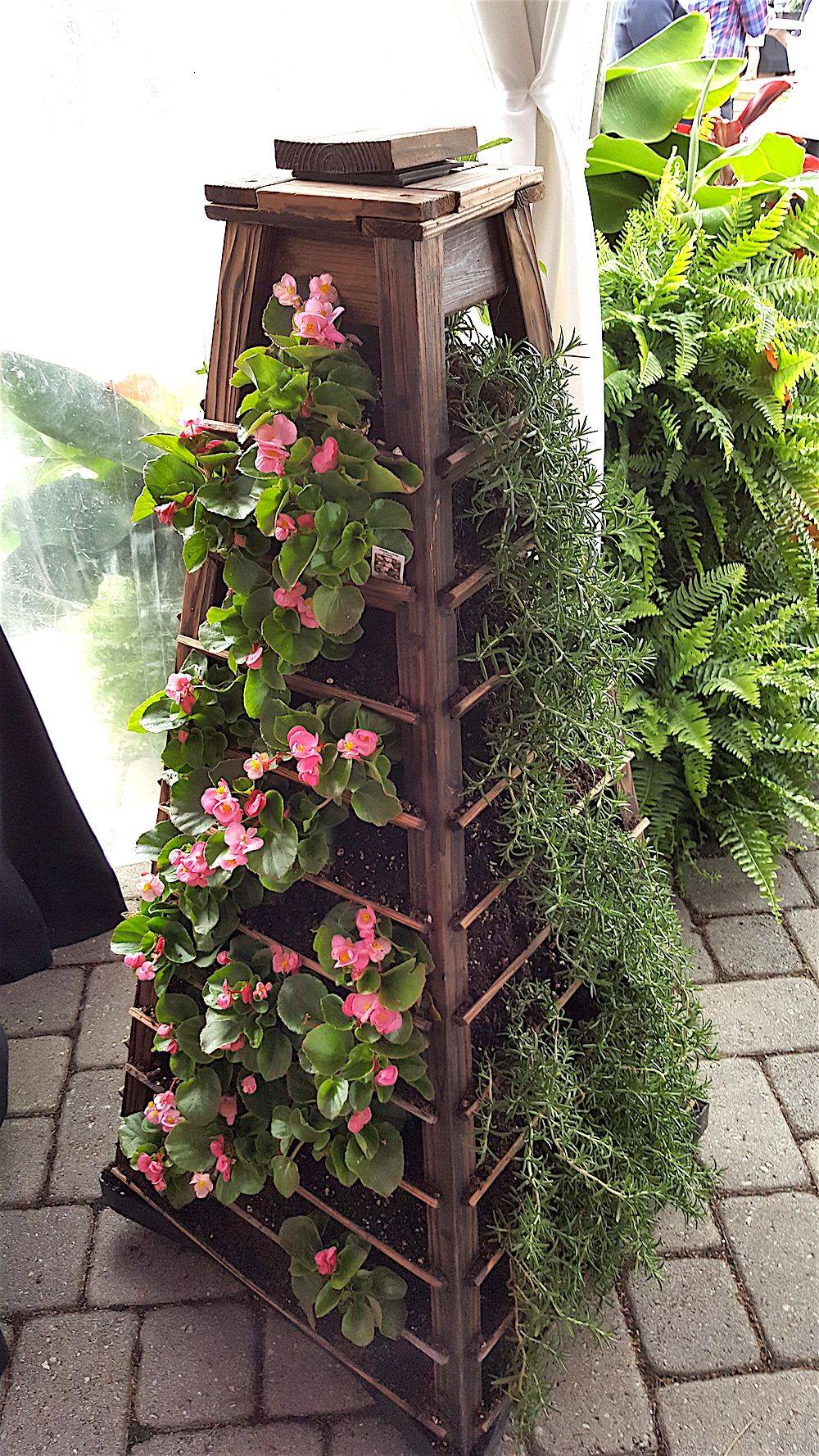 Vegetable Garden Trellis Ideas Simphome