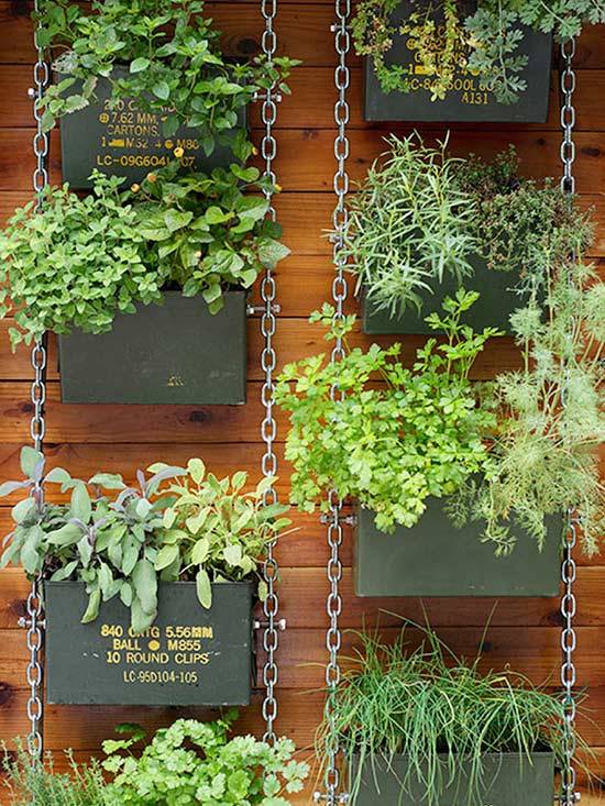 Vegetable Garden Trellis Ideas Simphome