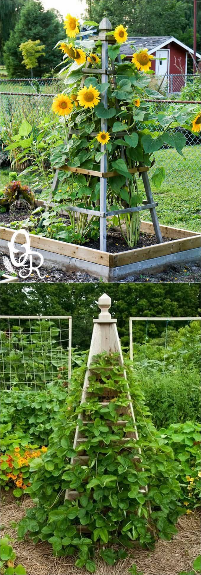 Easy Diy Garden Trellis Ideas