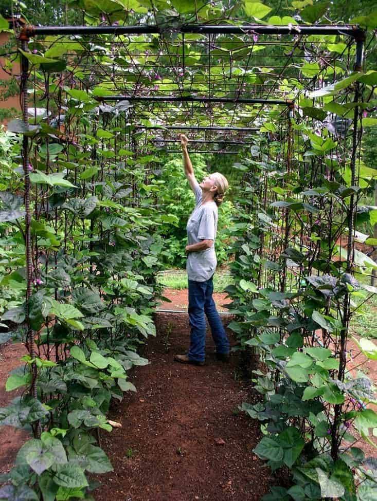 Cool Outdoor Vertical Garden Ideas