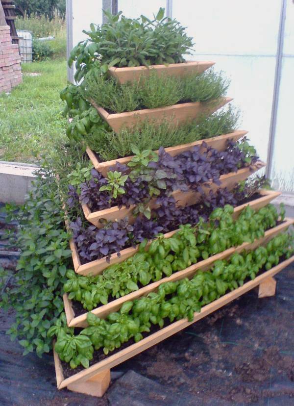 Vertical Gardening