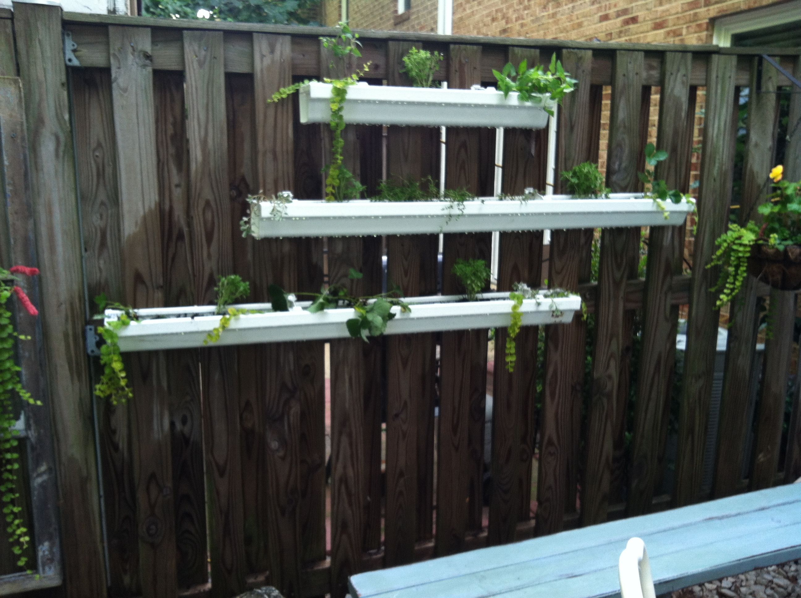 Vertical Diy Rain Gutter Garden Ideas