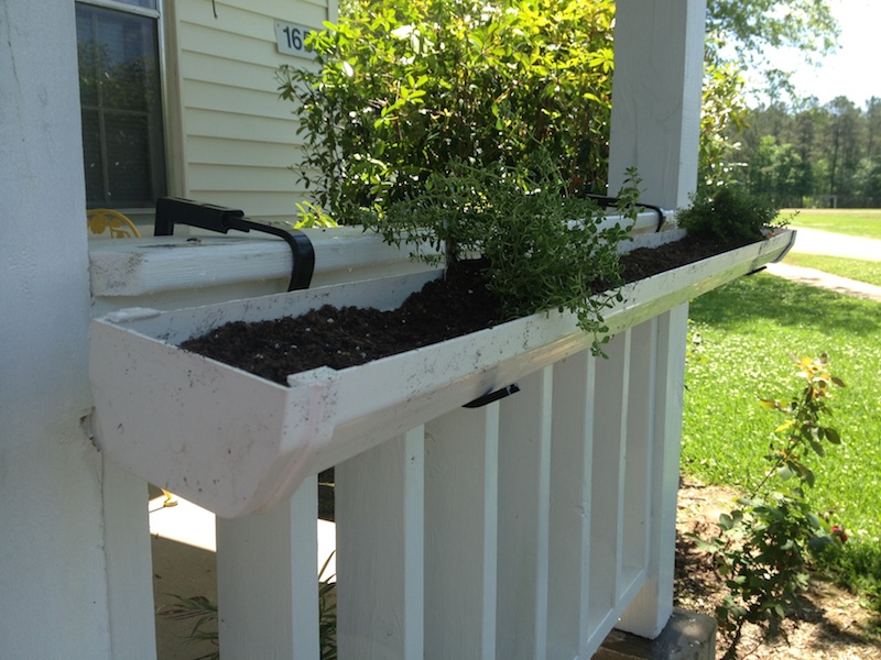 Rain Gutter Garden Pictures