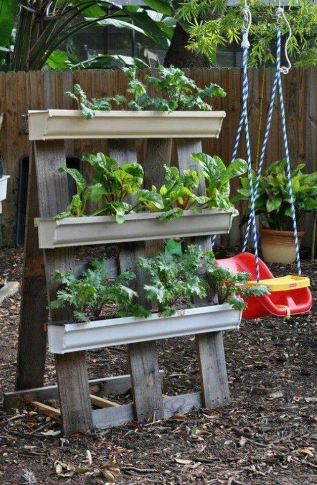 Rain Gutter Strawberry Beds Modern Design Gutter Garden