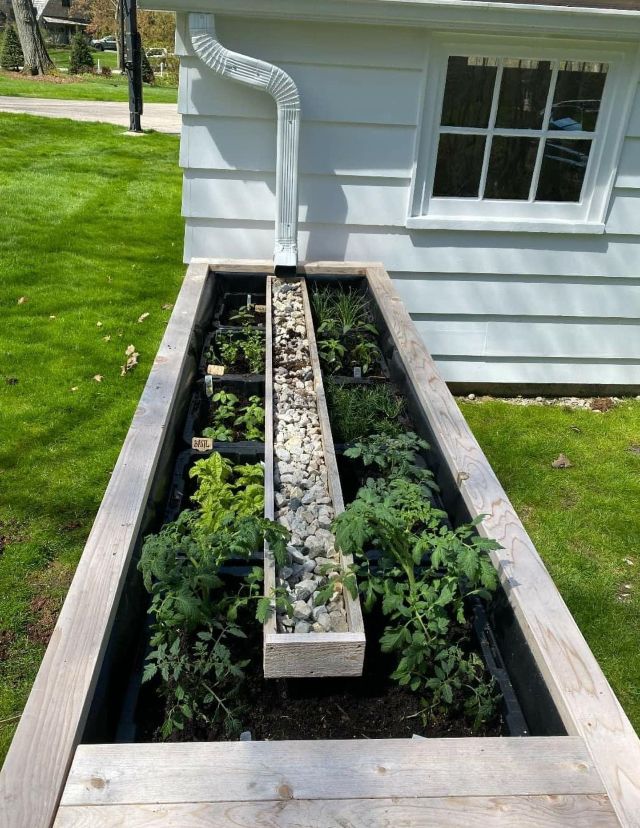Rainwater Collection System