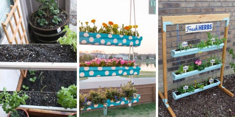 Vertical Garden Ideas
