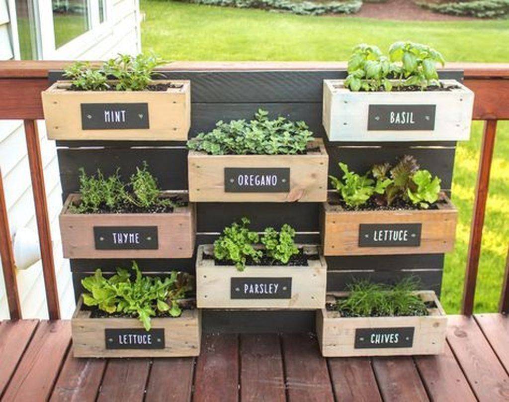 Creative Herb Garden Ideas