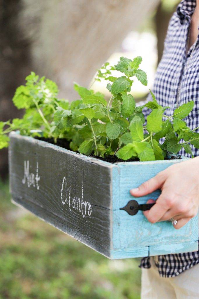 Adorable Diy Container Herb Garden Design Ideas