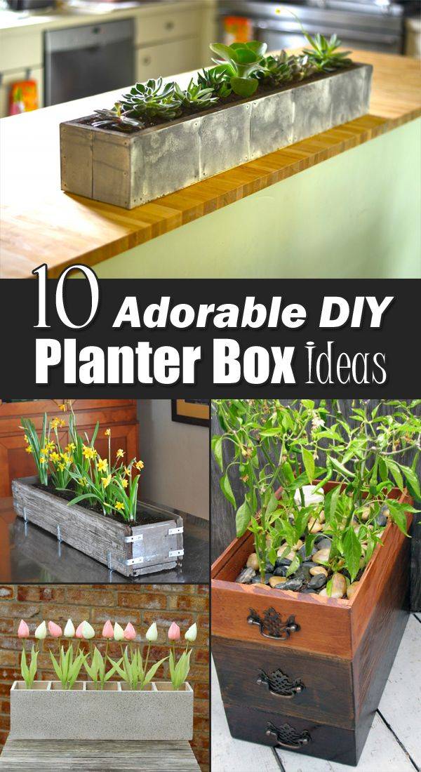Your Own Herb Garden Reliable Remodeler