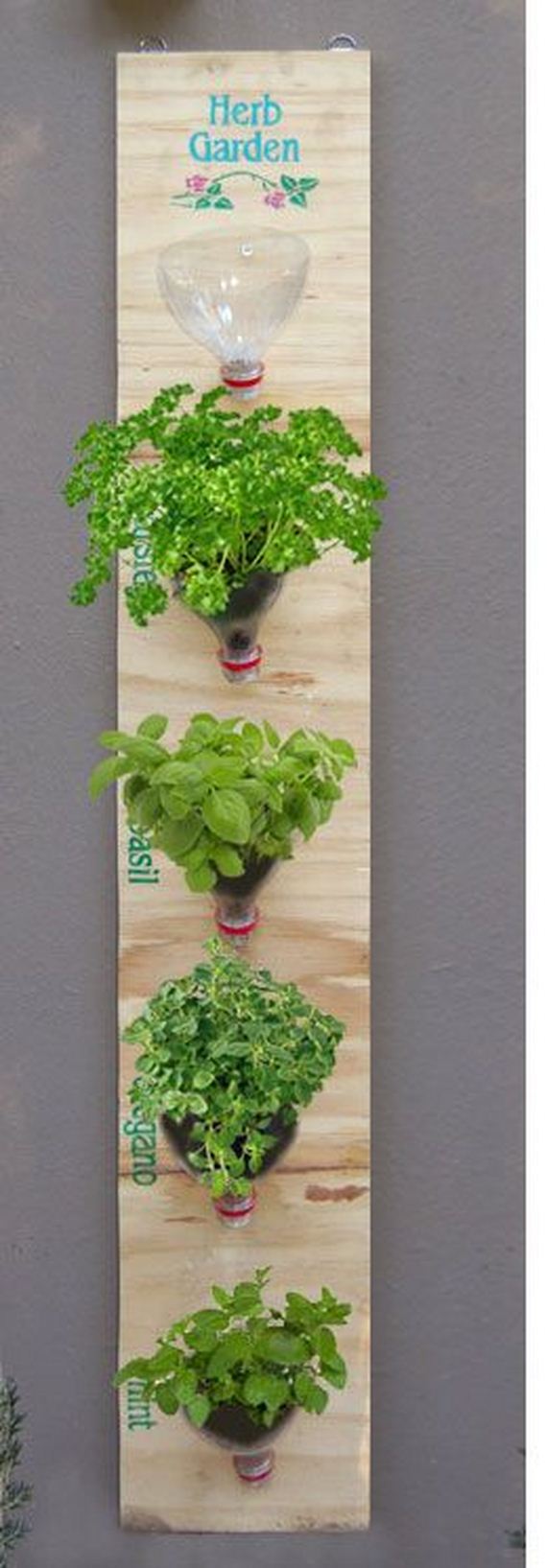 Brilliant Diy Indoor Herb Garden Ideas