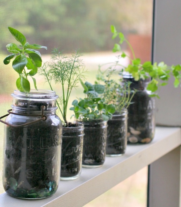 Diy Indoor Herb Garden Ideas Worthing Court
