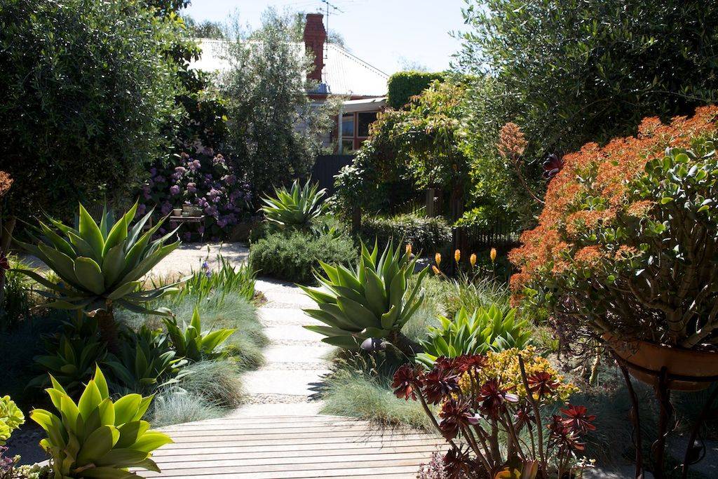 Award Winning Eco Chic Garden Rhs Gold Medal