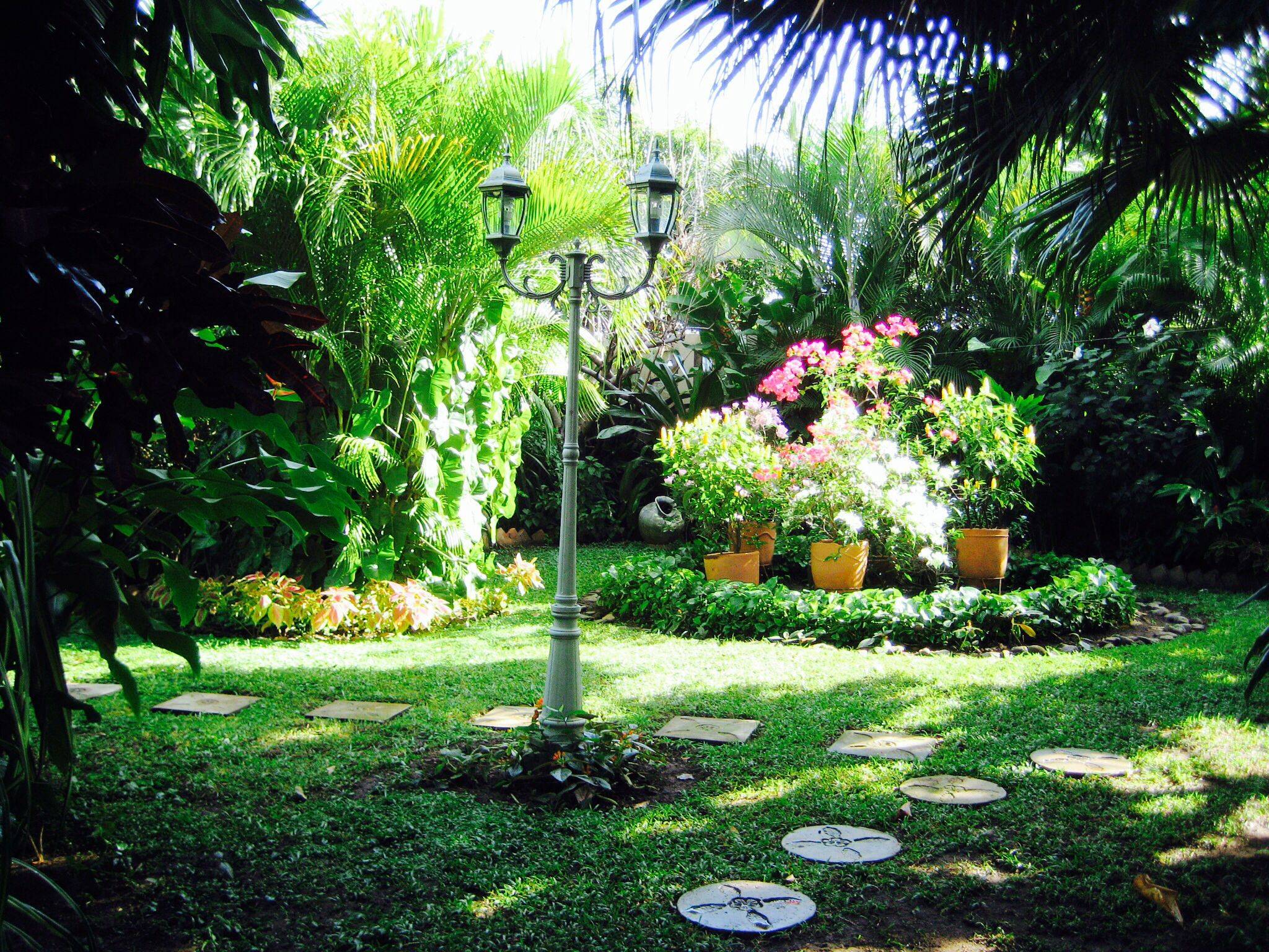 Sunny Summer Backyard Garden Flowers