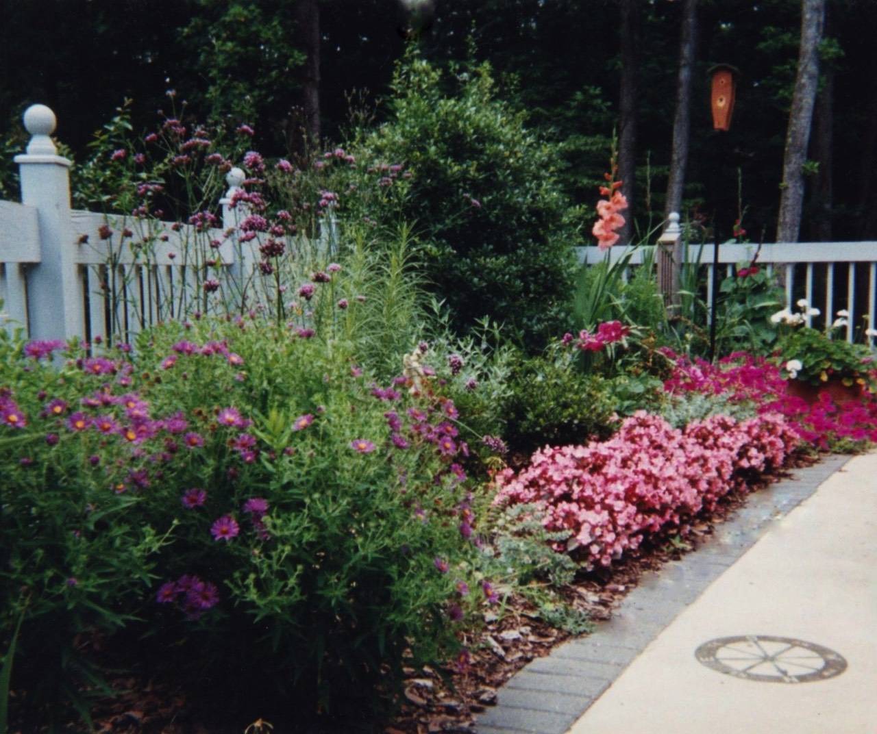 Sunny Garden Small Front Yard Landscaping