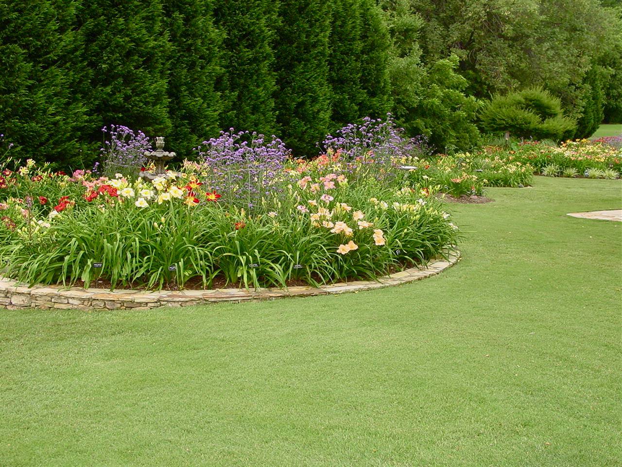 Hillside Garden