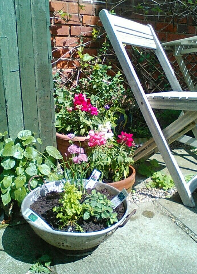 25 Sunny Corner Garden Design Ideas Worth to Check SharonSable