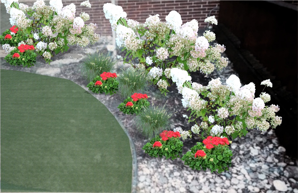 Sunny Cornergardenflowers