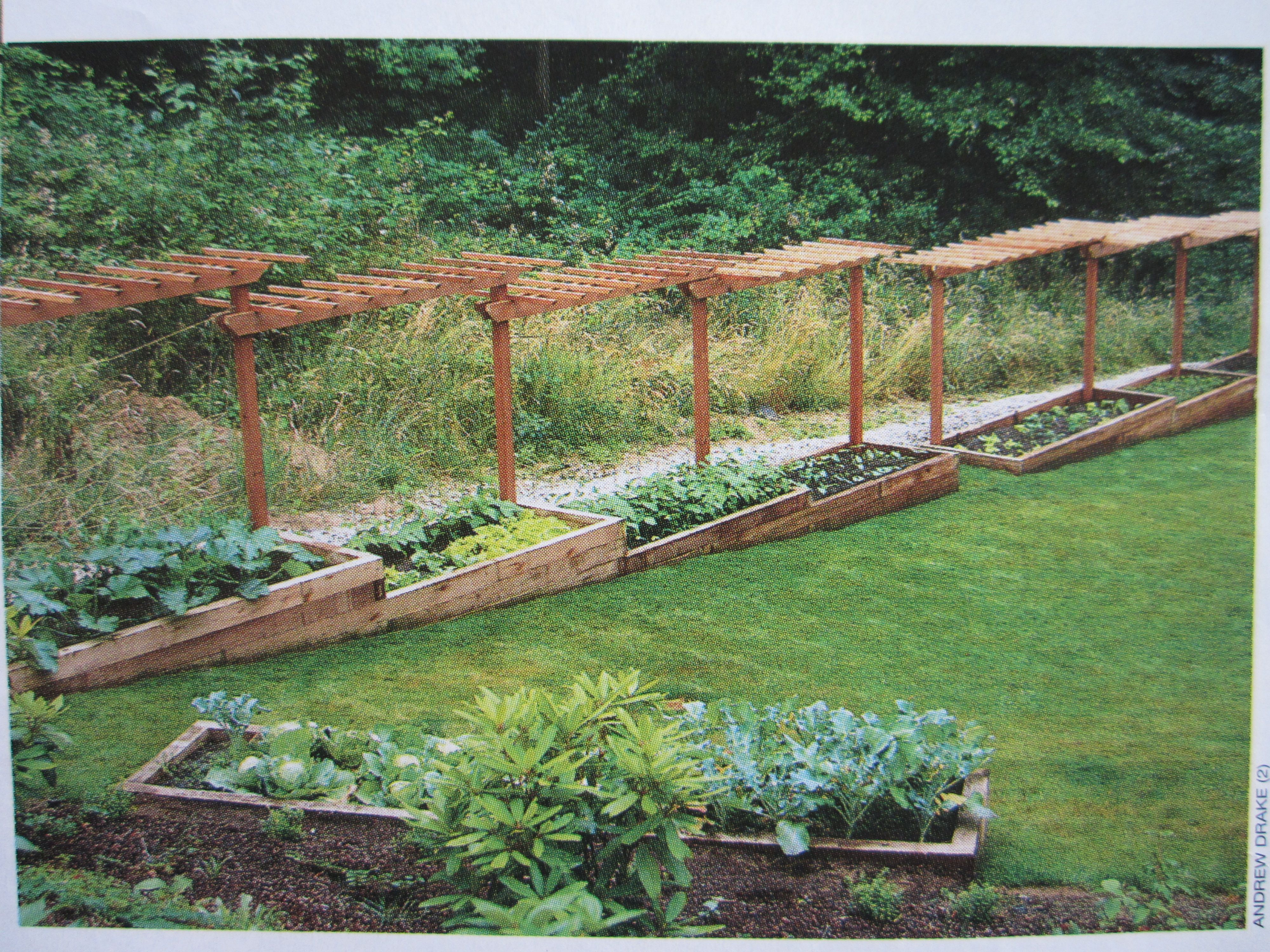 A Slope Garden Ideas