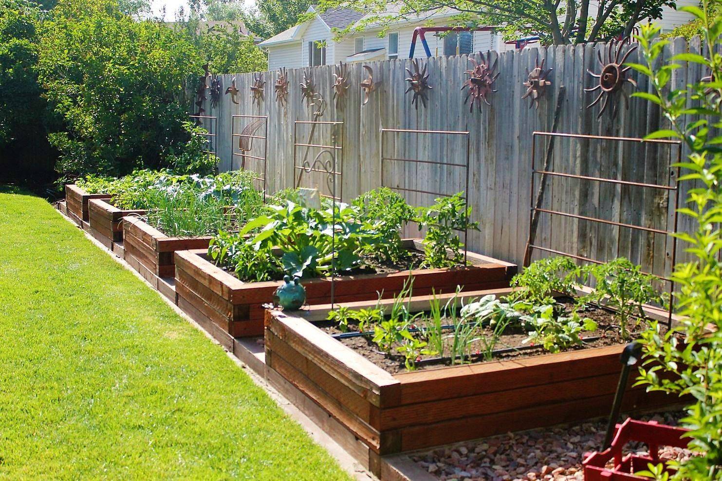 Great Front Yard Vegetable Garden Ideas