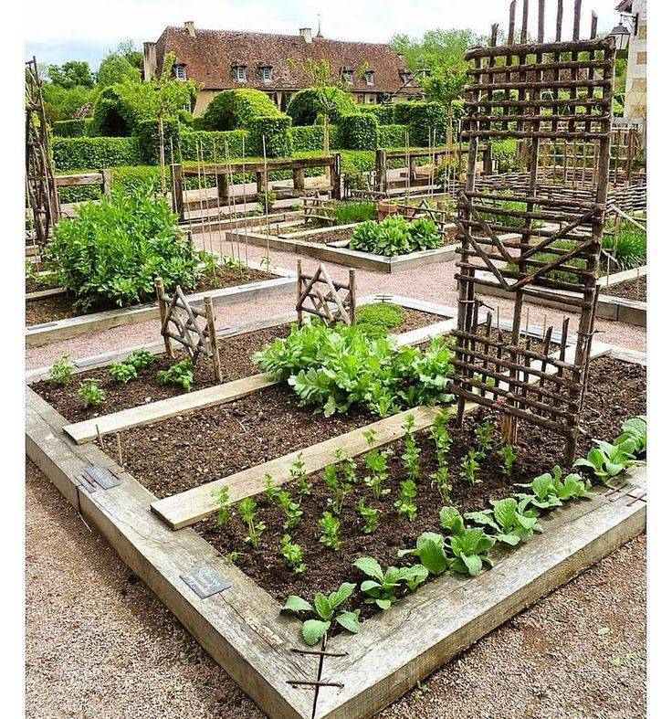 Beautifuly Colorful Vegetable Garden Design Ideas Page