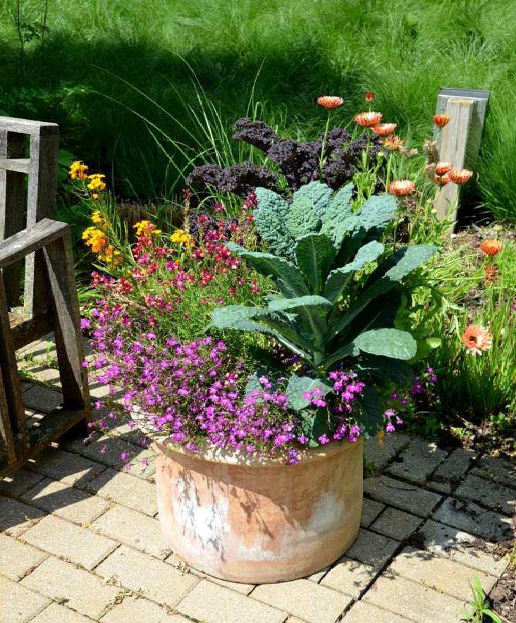 A Container Vegetable Garden