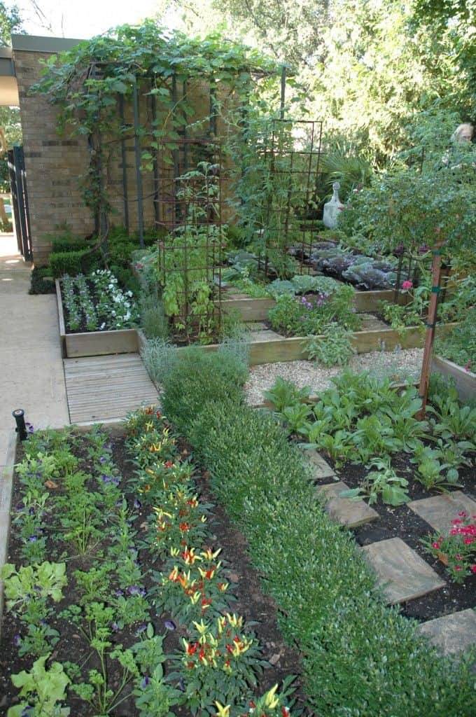 Backyard Vegetable Garden Ideas
