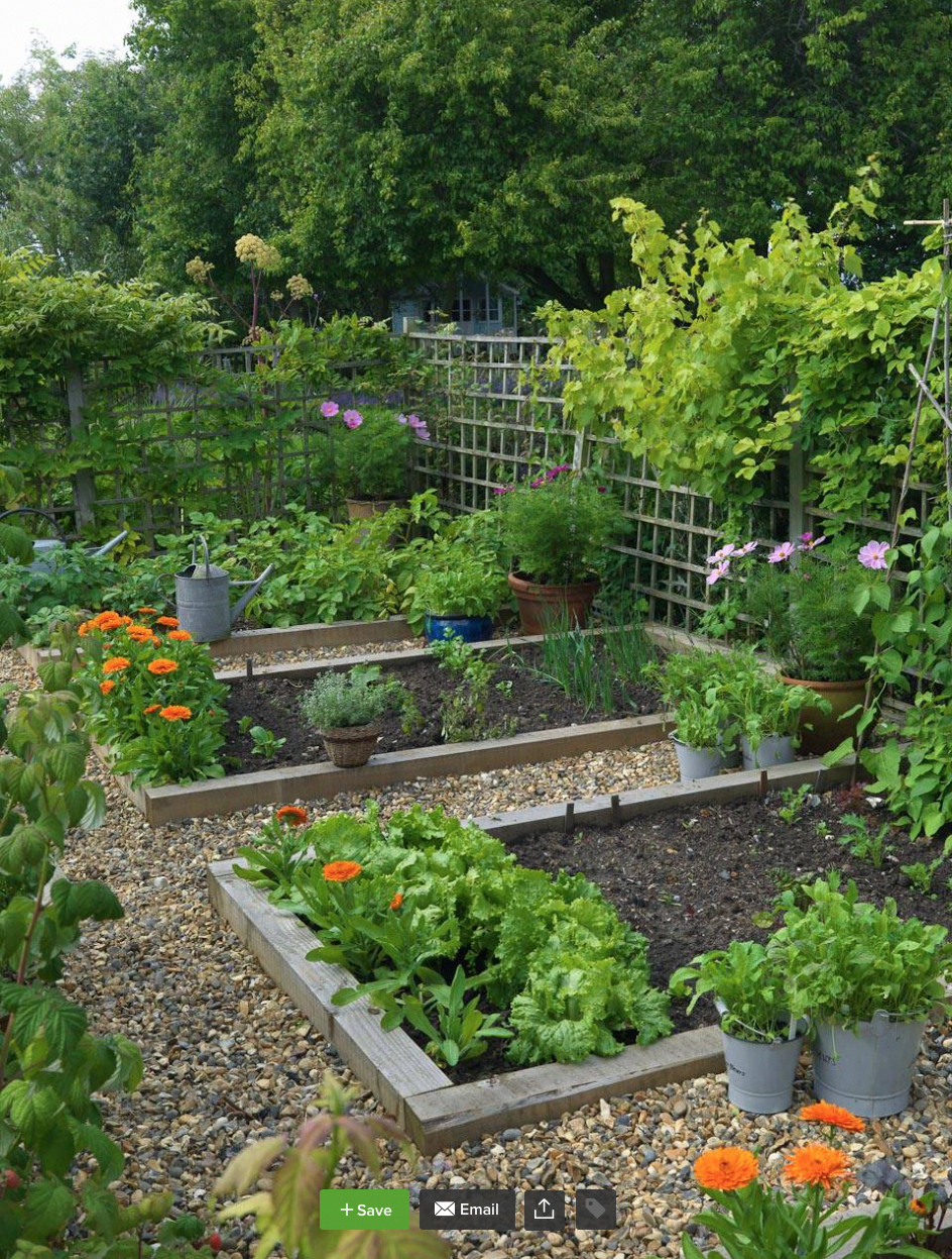 Fantastic Vegetable Garden Design Ideas You Should Try Garden Easy