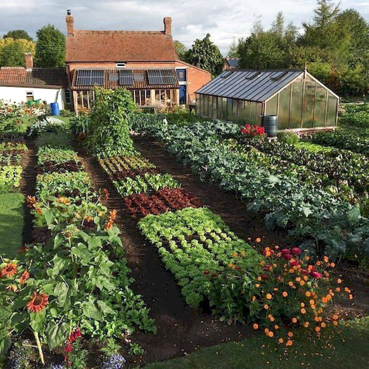 Beautiful Raised Bed Vegetable Garden Layout