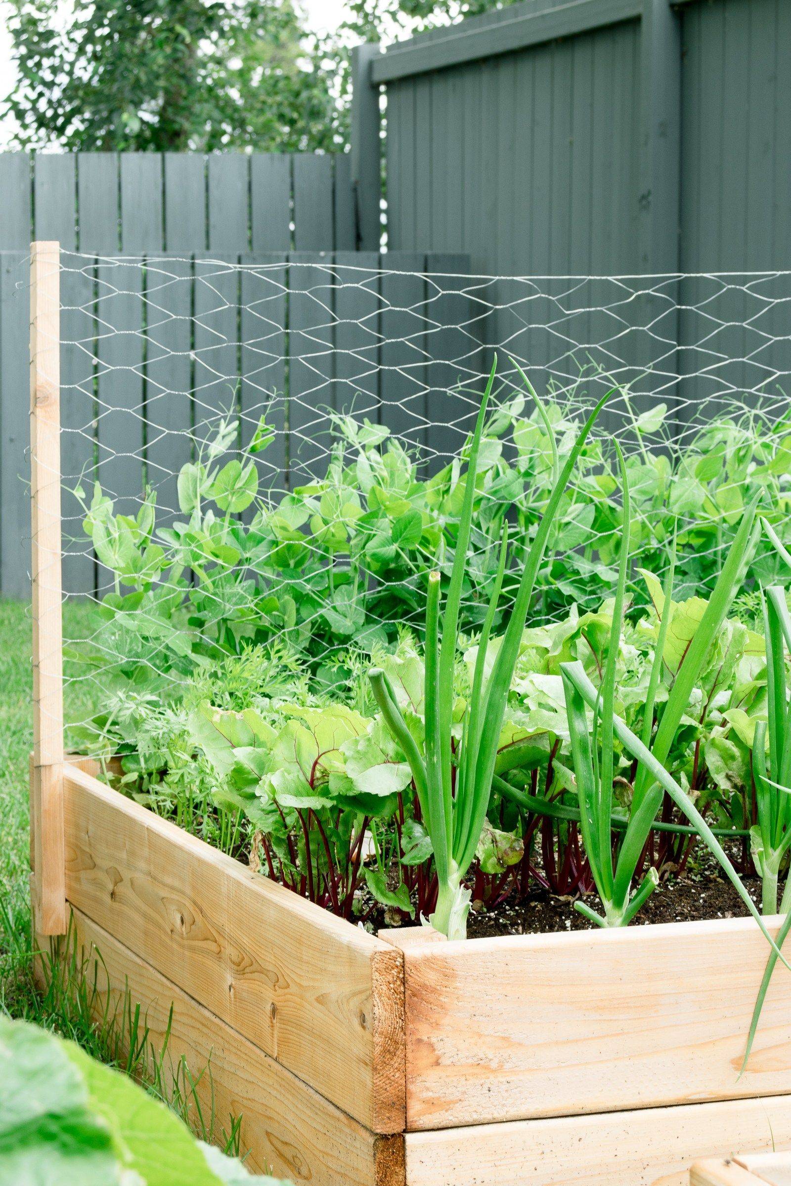 Your Own Raised Garden Beds