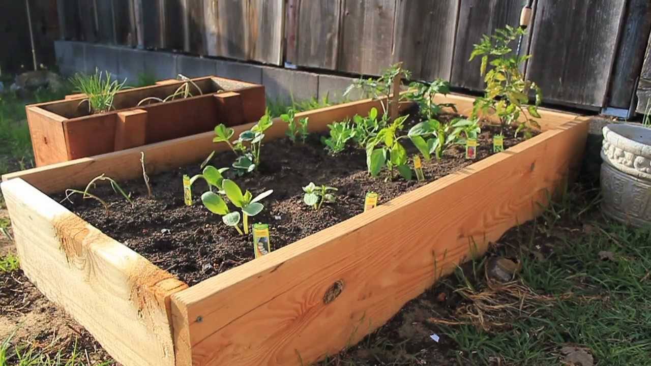 Build Raised Vegetable And Flower Garden Beds