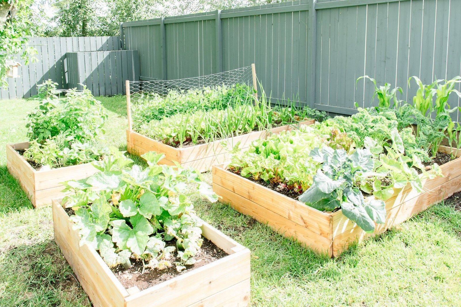 Building A Raised Garden Bed