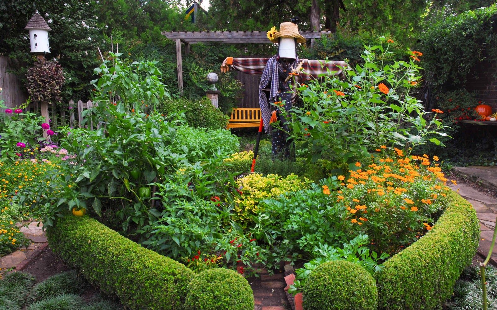 Edible Garden Layout Ideas Outdoor Decor Ideas