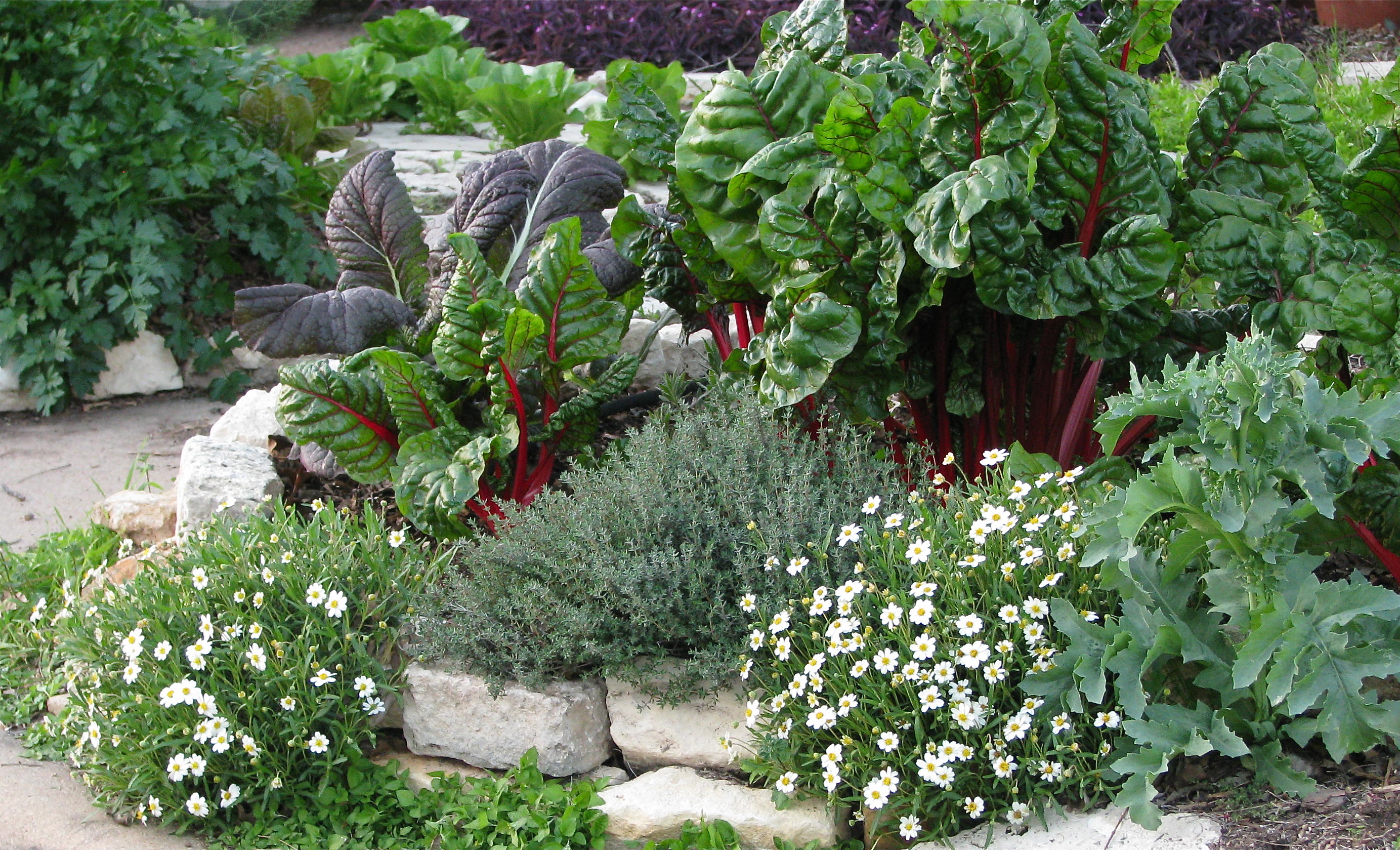 Edible Landscape Ideas Hand